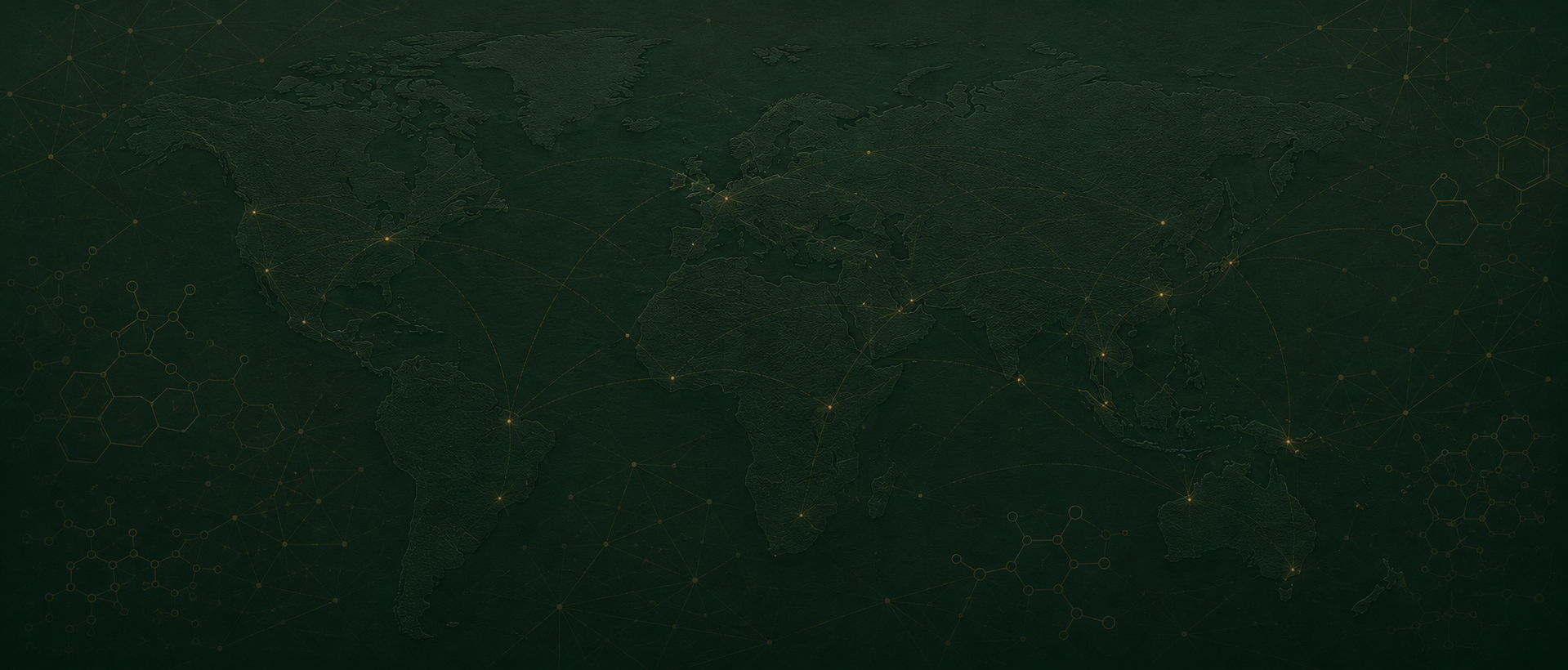 Global export network map